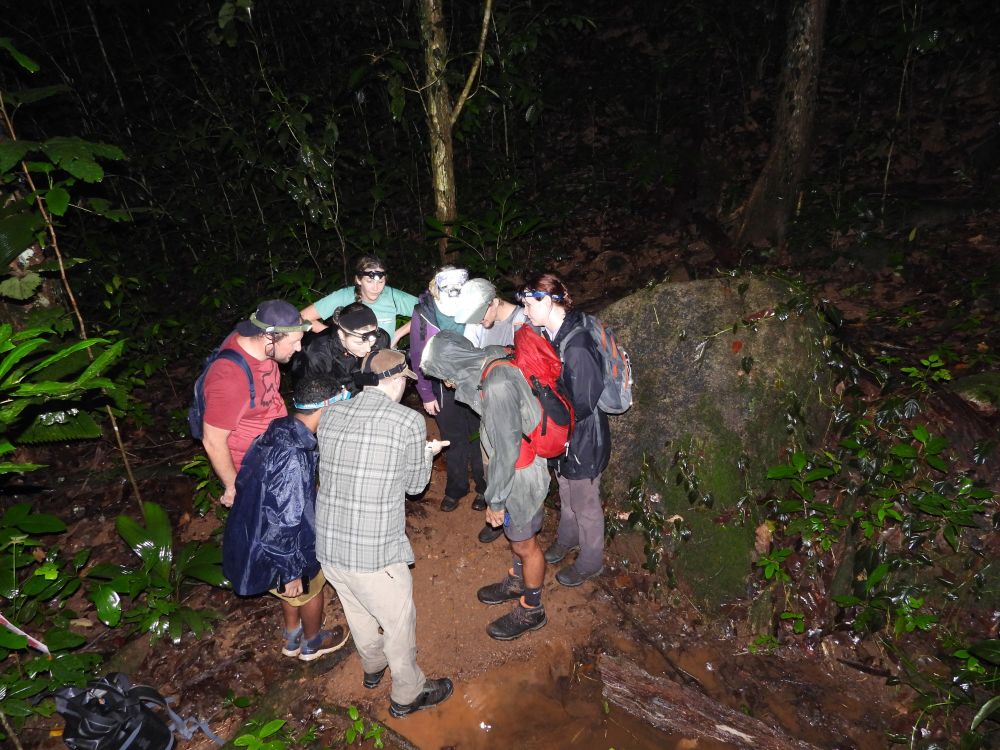 Workshop team discussing amphibians in the field.