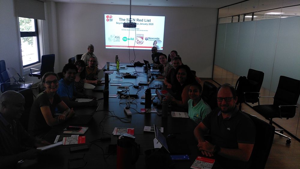 Frog workshop