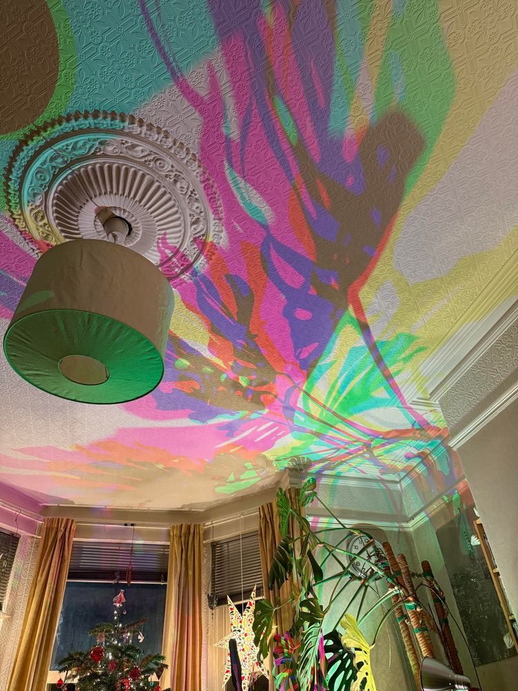 Cyan, magenta, and yellow shadows of a monstera plant leaf cast on a white ceiling with a plaster centrepiece and hanging lamp. There are windows in the bottom of the picture along with a Christmas tree and the monstera plant. 