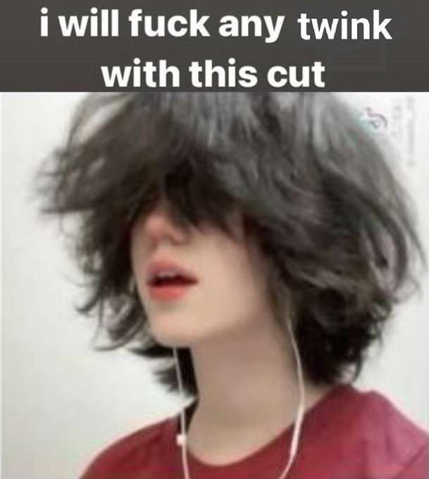 'i will fuck any twink with this cut', with an image of fluffy hair