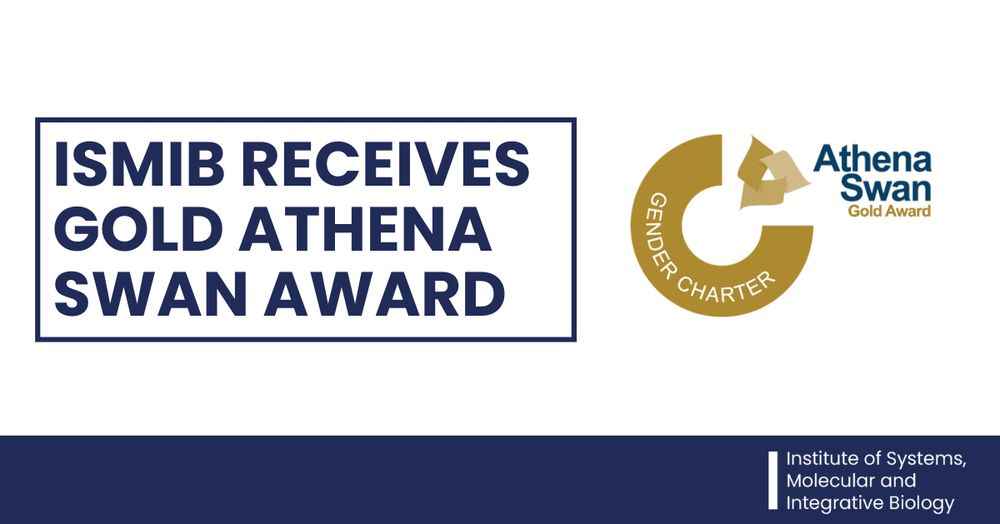 An image with a white background that reads 'ISMIB receives gold Athena Swan Award' in navy blue text with the gold Athena Swan Gender Charter pictured to the right. Along the bottom is a navy blue banner with the 'Institute of Systems, Molecular and Integrative Biology' text logo in white text.