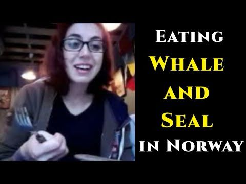 Seal and Whale in Norway
