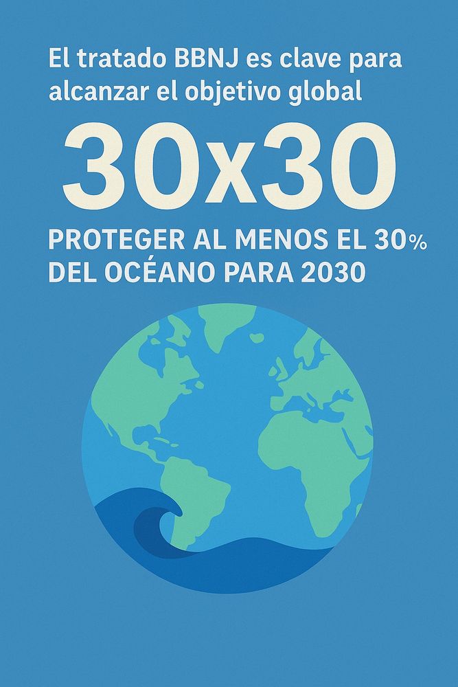 Infografía en estilo digital plano con fondo azul. En la parte superior se lee: ‘El tratado BBNJ es clave para alcanzar el objetivo global 30x30’. En el centro aparece en letras grandes ‘30x30’, seguido de la frase: ‘Proteger al menos el 30% del océano para 2030’. En la parte inferior se muestra un globo terráqueo simplificado con tonos verdes y azules, acompañado de una gran ola azul.