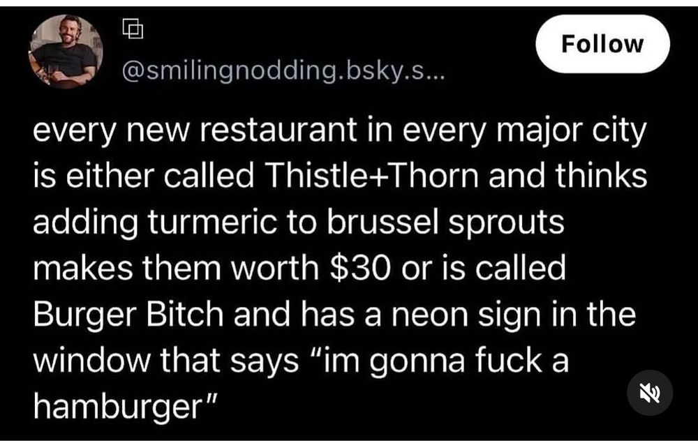 @smilingnodding.bsky.social

every new restaurant in every major city is either called Thistle+Thorn and thinks adding turmeric to brussel sprouts makes them worth $30 or is called
Burger Bitch and has a neon sign in the window that says 