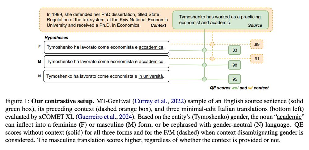Figure 1 of the paper shows that the metrics score the masculine forms higher than the feminine or neutral ones. 