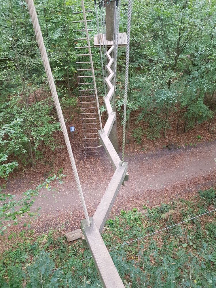 Das Bild ist von oben aus dem Baum eines Kletterwalds fotografiert. 
Unten verläuft von links nach rechts ein Waldweg. 
Im Vordergrund sieht man grünes Laub, im Hintergrund grüne Bäume  
Vom Standpunkt der Fotografierenden aus geht ein "Weg" aus Holzplanken im Zickzack über den Weg zur nächsten Plattform. An jedem Knick ist ein dickes Seil zum Festhalten angebracht. 
Auf der anderen Seite des Waldwegs führt eine Strickleiter hoch zur Plattform. 