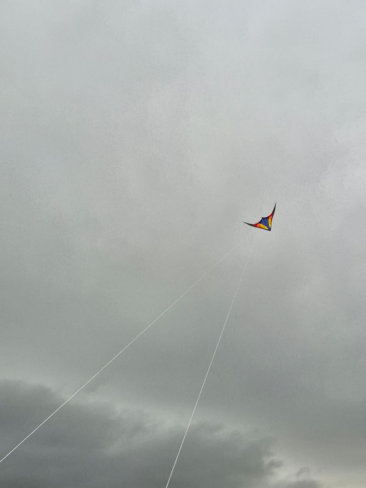Man sieht einen grauen vergangenen Himmel, unten links auch die Umrisse einer dunklen Wolke.

Mittig rechts fliegt ein gelb-rot-blauer Lenkdrachen und macht gerade eine Rechtskurve nach unten.

Von links unten sieht man die beiden Lenkseile zum Drachen hochgehen. 