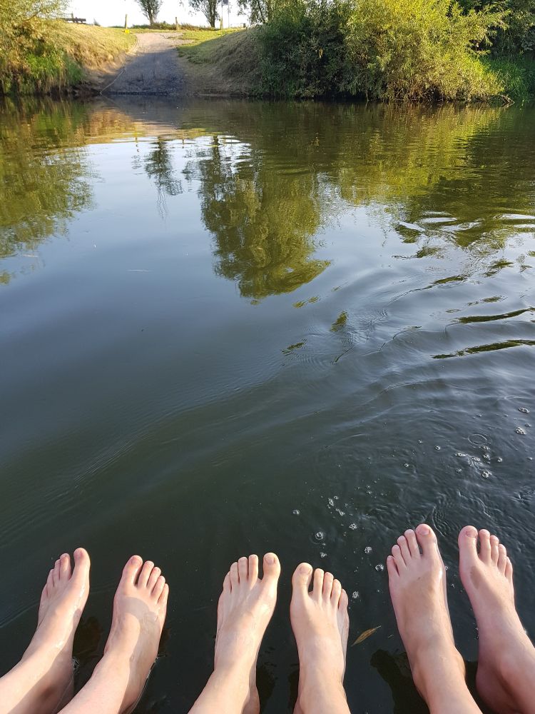 Man sieht sechs Füße knapp oberhalb der Wasseroberfläche am unteren Bildrand. Die Sonne scheint und sie sind leicht gebräunt, wo die Sandalen offen sind. Das Gewässer ist ein Flüsschen, das von links nach rechsmts fließt. Am anderen Ufer erkennt man einen Zugang zum Wasser, dahinter eine Weide, rechts und links Bäume und Büsche. 