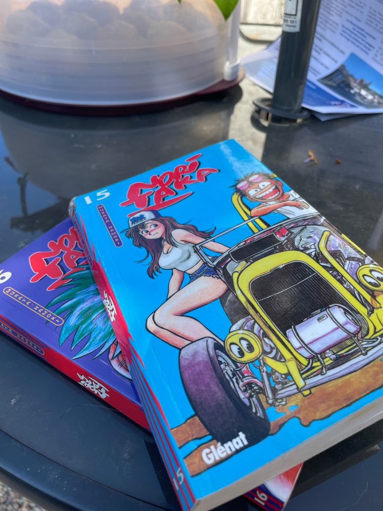 Mangas Noritaka, version française, très bien jusqu’au 2 tiers de la collection puis le Mangaka a decidé qu’il en avait plus rien à faire et a gâché la fin de sa série.