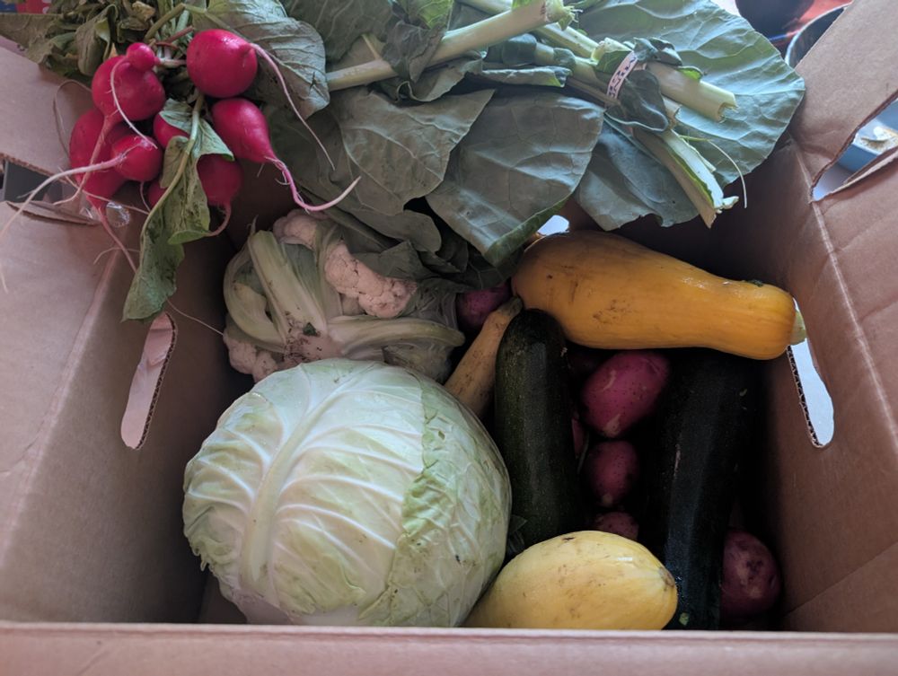 Box filled with assorted vegetables fresh from the farm 