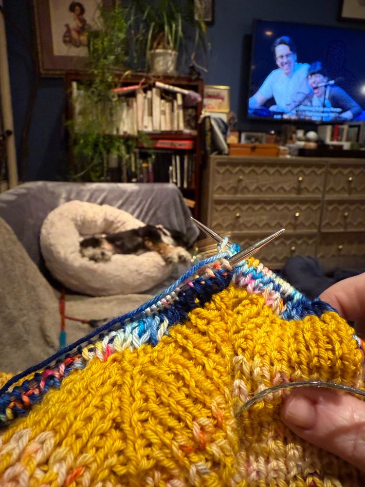 Holding bright yellow and blue knitting. A small dog snoozes in the background 