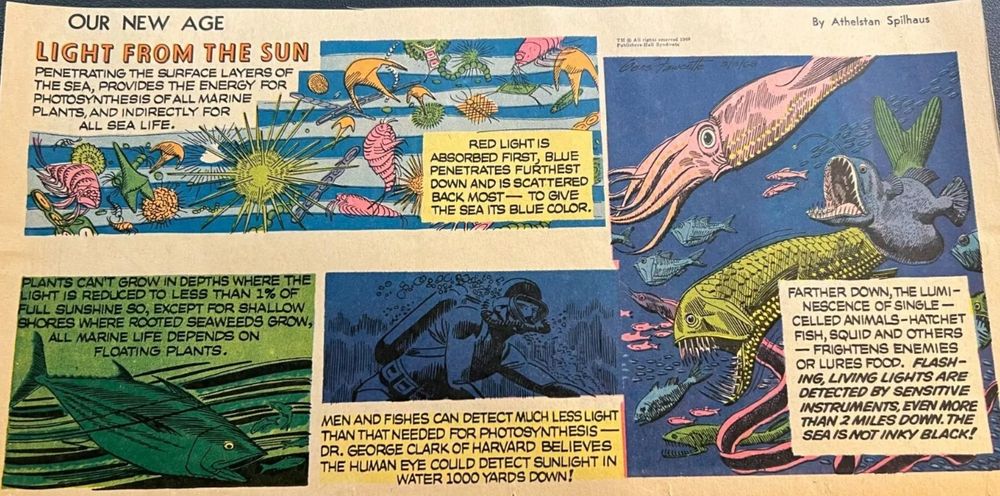 1960s era educational comic strip "Our New Age" by Athelstan Spilhaus about light in the ocean depicting sea creatures at different levels of the ocean.