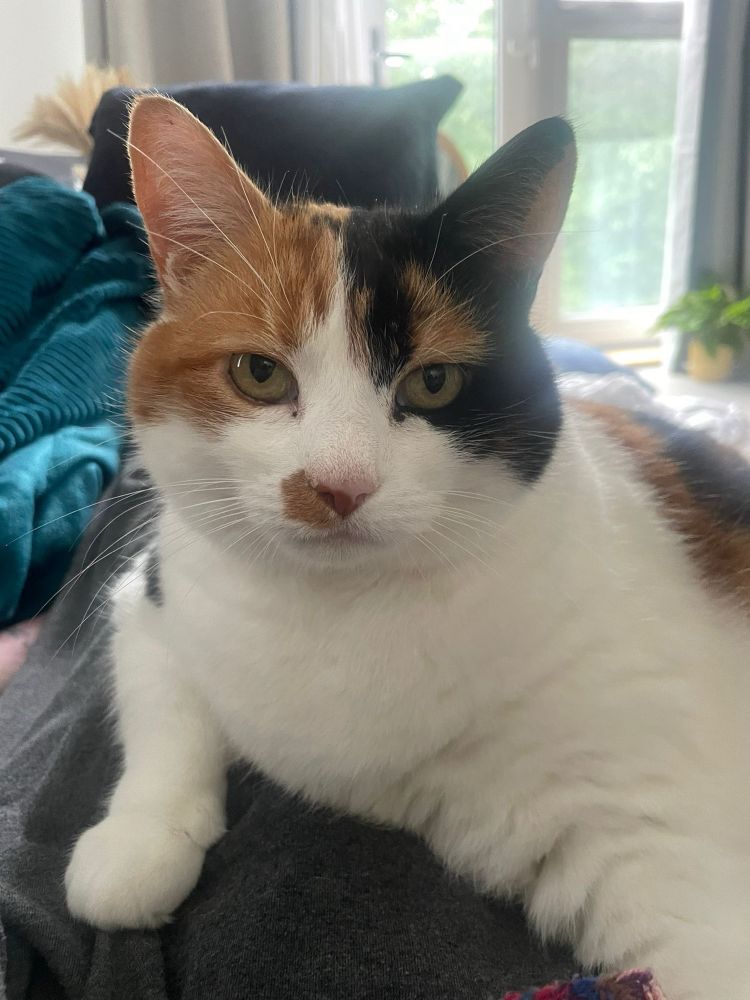 Lucy staring directly at camera very serious and stern