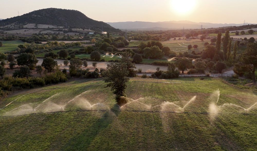 Photocredit: Yasemin Karslı