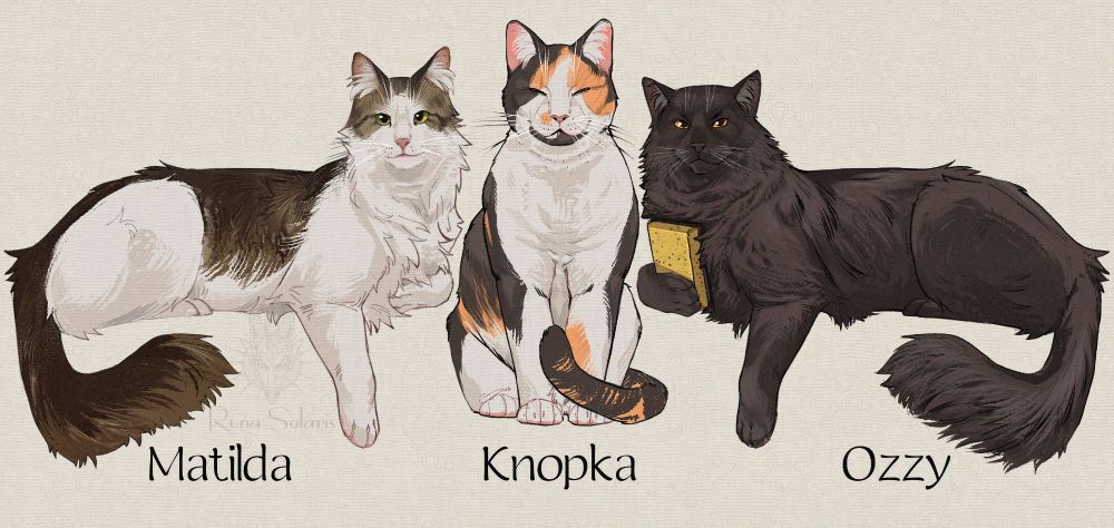 Illustration with three cats