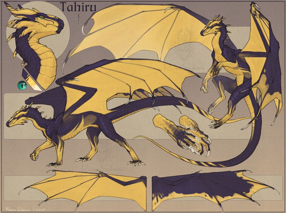 Dragon character reference sheet 