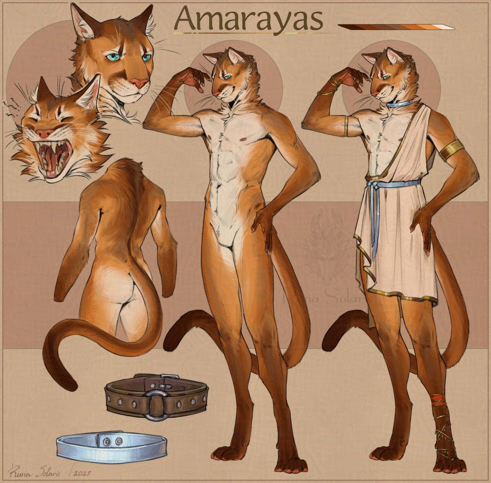 anthro cat male character concept