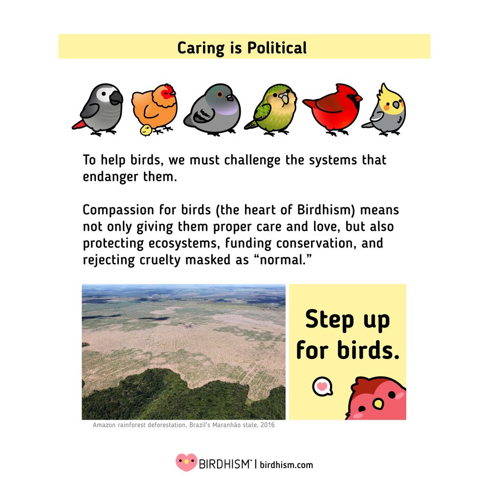 
Slide 2:
To help birds, we must challenge the systems that endanger them.
Compassion for birds — the heart of Birdhism — means not only giving them proper care and love,
but also protecting ecosystems, funding conservation, and rejecting cruelty masked as “normal.”

Step up for birds.
