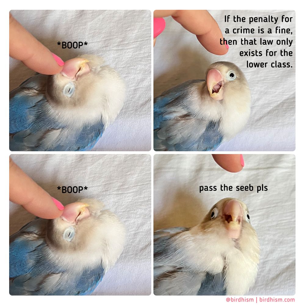 Comment image