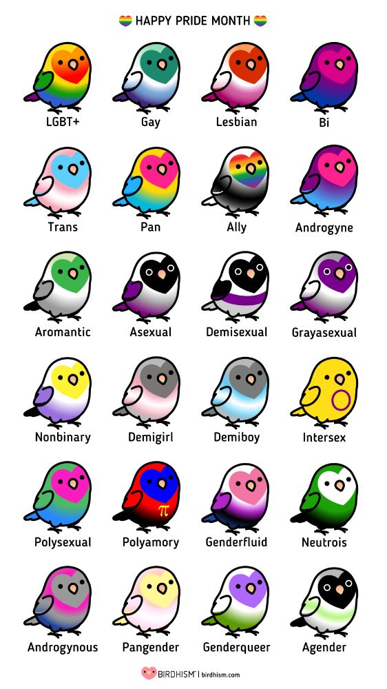 lovebird illustrations in the colors of pride flags