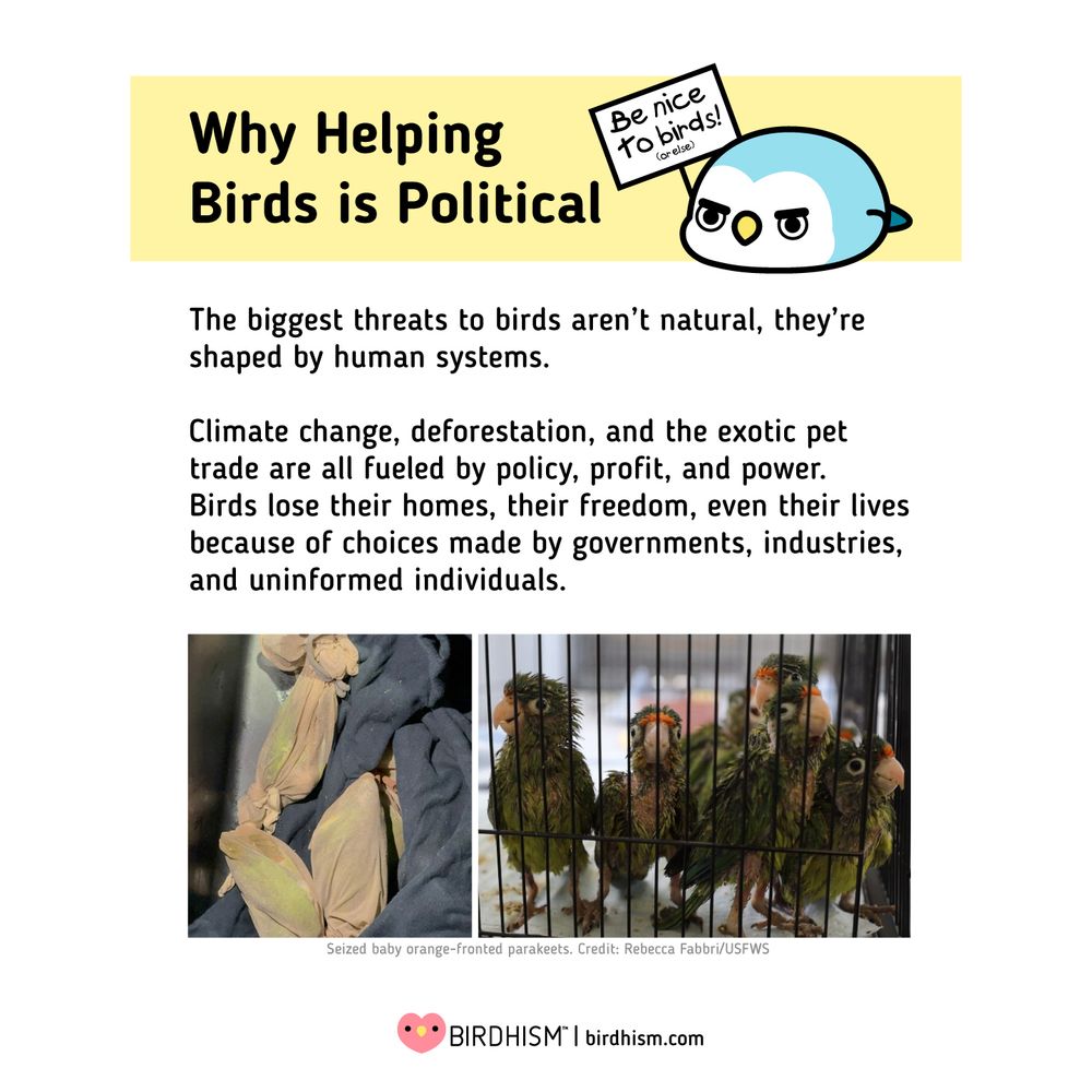 Slide 1:
The biggest threats to birds aren’t natural, they’re shaped by human systems.
Climate change, deforestation, and the exotic pet trade are all fueled by policy, profit, and power.
Birds lose their homes, their freedom, even their lives because of choices made by governments, industries, and uninformed individuals.
