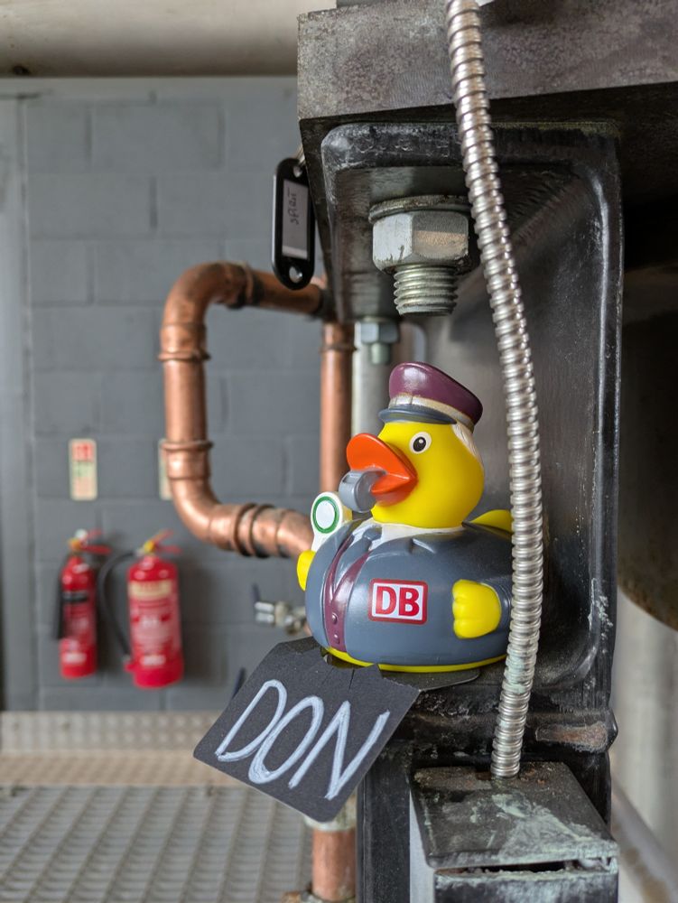Un canard en plastique avec le nom Don écrit sur une affichette