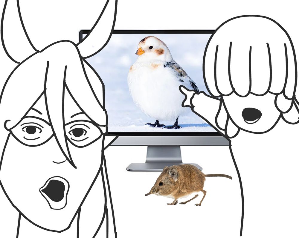 crua and yonge soyjack pointing at a bird on a monitor, with a shrew below