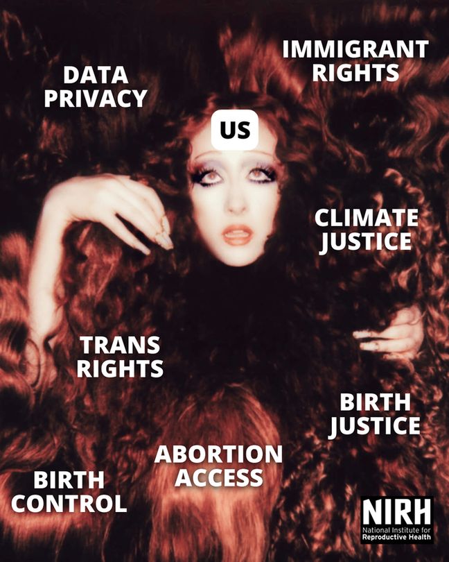 A meme of the cover for Chappell Roan's "The Subway" where she (labelled "Us") is covered with a bunch of different red hair wigs, and each wig labelled a different social justice issues like "Data Privacy" "Trans Rights" "Birth Control" "Abortion Access" "Birth Justice" "Climate Justice" and "Immigrant Rights"
