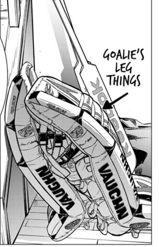 Panel with padding that says goalie’s leg things