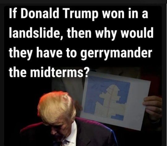 There's a picture of Donald Trump hanging his head with a gerrymandered map in the background. The caption reads if Donald Trump won in a landslide, then why would you have to gerrymander the midterms?
