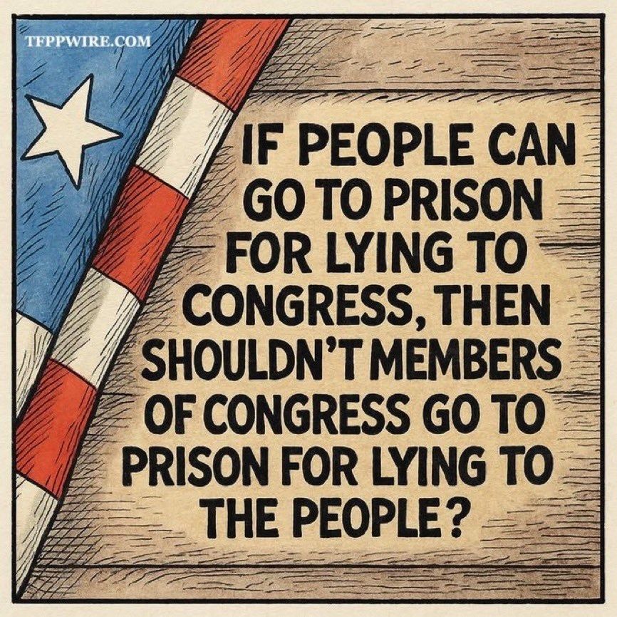 It's a drawing of a wooden background with a rolled up American flag to the left. The caption reads: If people can go to prison for lying to congress, then shouldn't members of Congress go to prison for lying to the people?