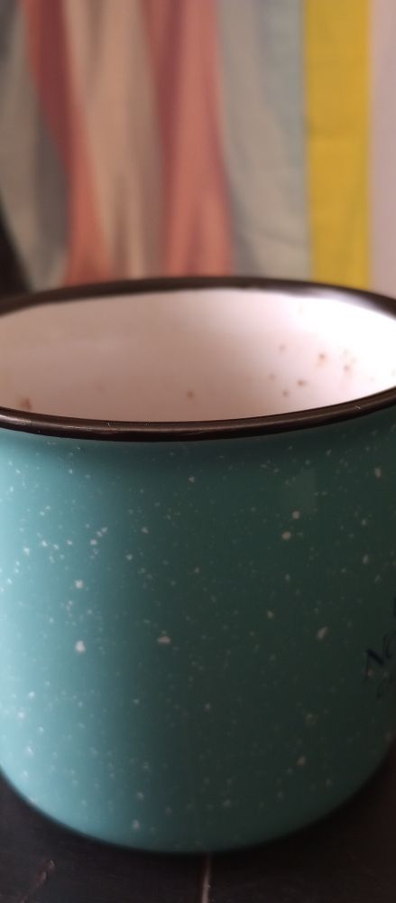 A picture of a mug sitting on a brown table with flags in the background. 

The flags are blurry but visible in the background - a trans flag with blue, pink and white stripes and another flag with yellow and white stripes visible. The flag not fully shown is the nonbinary flag. 

The mug sitting on the table is blue green, with white speckles across it on the outside. A small amount of text is visible on the middle of the right side of the mug. A small black letter N is the only readable letter. The rim of the mug is black, while the inside is white, with small splashes of brown liquid - hot chocolate - on it. 