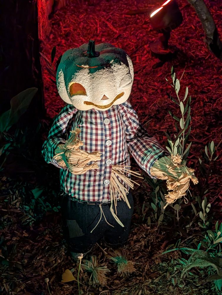 Winking pumpking headed scarecrow. His hands are made of straw and he's doing fingerguns.