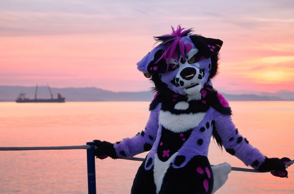 Lapsus by the sunset