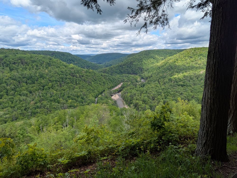 A view from the top of Loyalsock Canyon Vista
