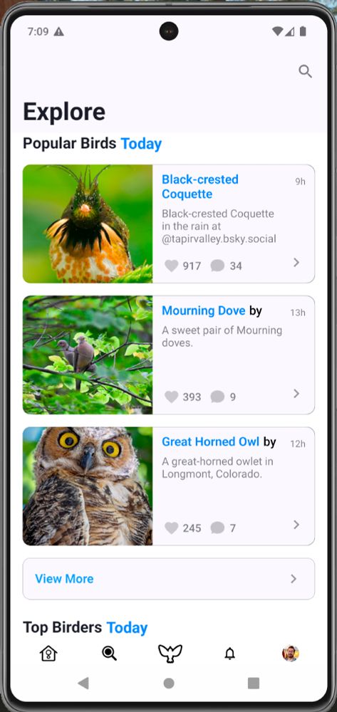 Birdsky Explore page showing posts with a photo of a great horned owl, a mourning dove, and a black-crested coquette.