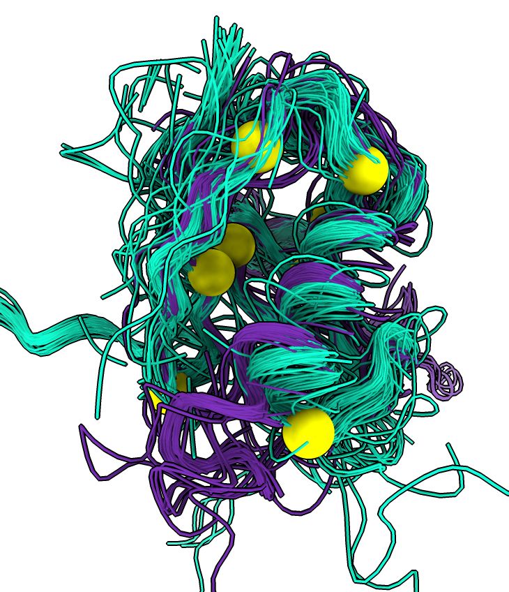 Two clusters of proteins with similar structure to CRAF kinase PDB 8jnb found with Foldseek and clustered with UMAP.