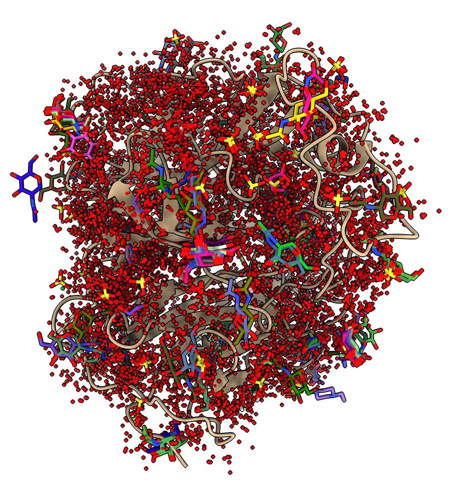 Nipah virus G protein with 16813 ligands (mostly waters) mapped from similar structures.