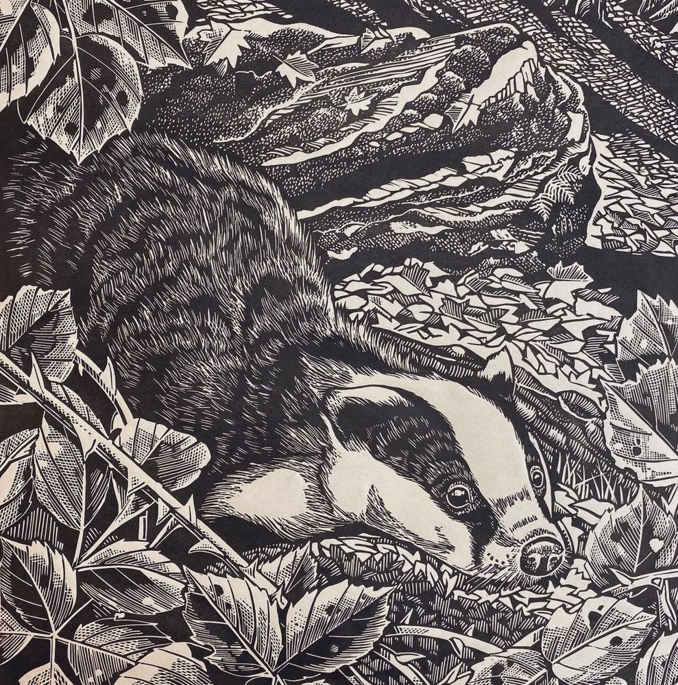Linocut of badger in foliage. 