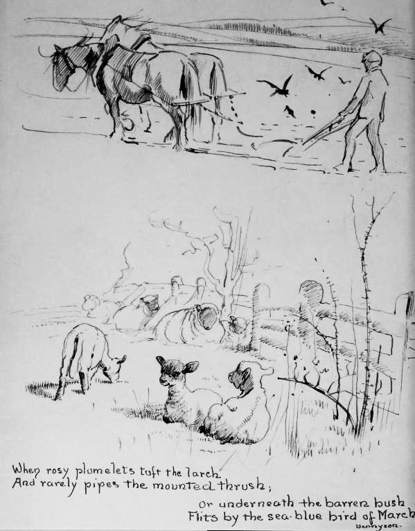 When rosy plumelets tuft the larch And rarely pipes the mounted thrush;
Or underneath the barrera bush
Flits by the sea blue bird of March.
Tennyson.

Horses ploughing a field above lambs in a field, drawings. 