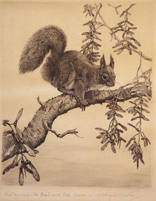 The image is an etching titled 