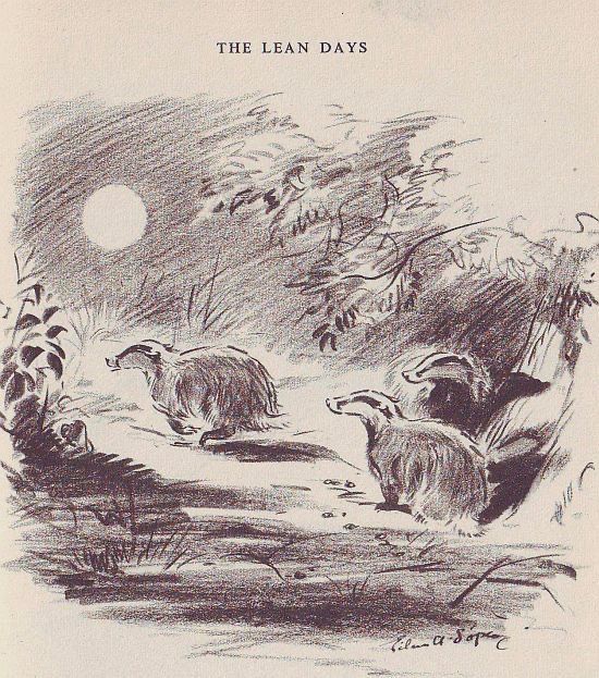 Entitled The Lean Days, three badgers scamper in wooded scene under full moon, illustration.