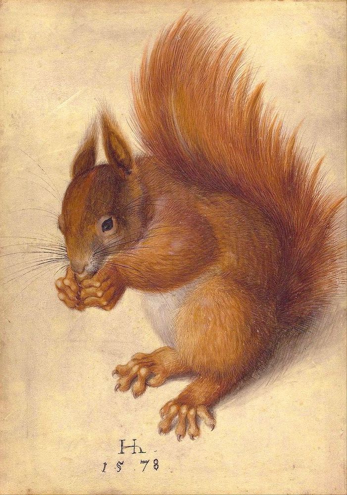Painting of red squirrel.