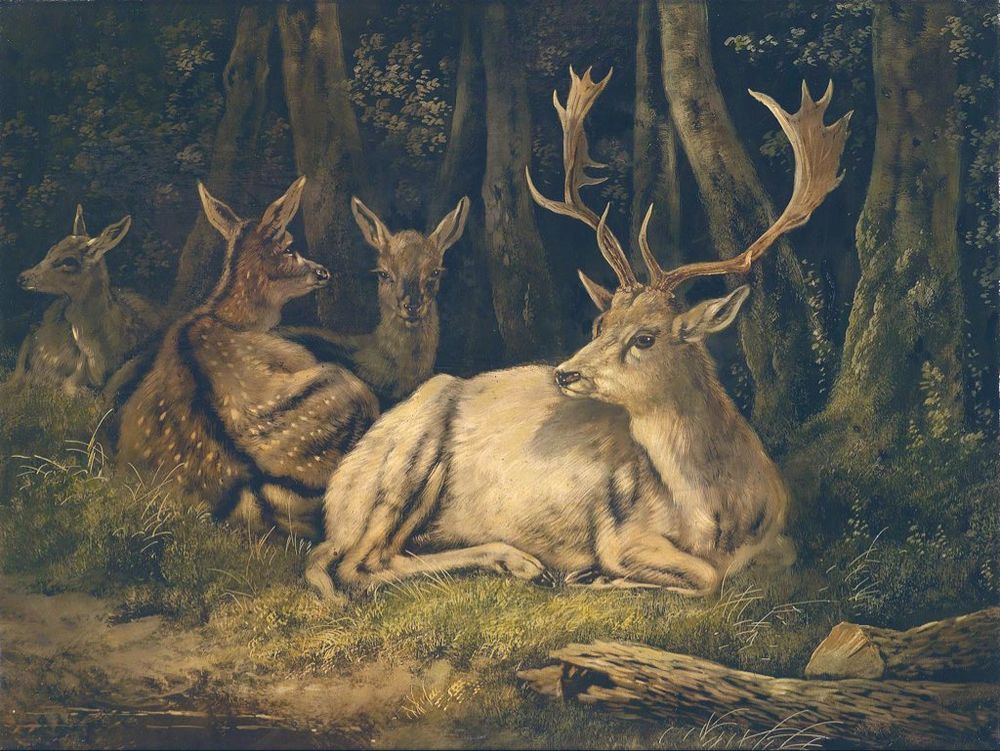 Painting which features several deer in a forest setting, with a prominent stag with large antlers resting in the foreground.