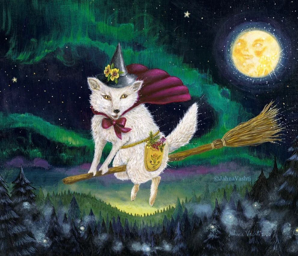 Illustration of white fox wearing a witch’s hat with yellow flowers and burgundy cloak on a broomstick flying over a forest, in the background are the northern lights and a full moon with a smiling face. The fox also has a little bag around its waist to carry the special herbs it collects.
