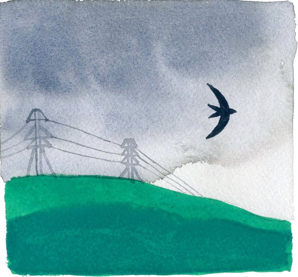 A watercolor painting depicting a landscape with a dark, cloudy sky. A green hill takes up the lower half of the image, with two power line towers standing on its crest. Wires run between the towers. A single, dark bird is flying against the gray sky on the right side of the painting.