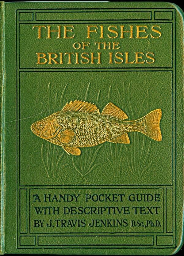 THE FISHES
OR THE
BRITISH ISLES
A HANDY POCKET GUIDE WITH DESCRIPTIVE TEXT BY J. TRAVIS JENKINS D.Sc,Ph.D.
Green cover, gold title and fish in centre, black lettering for other titles.