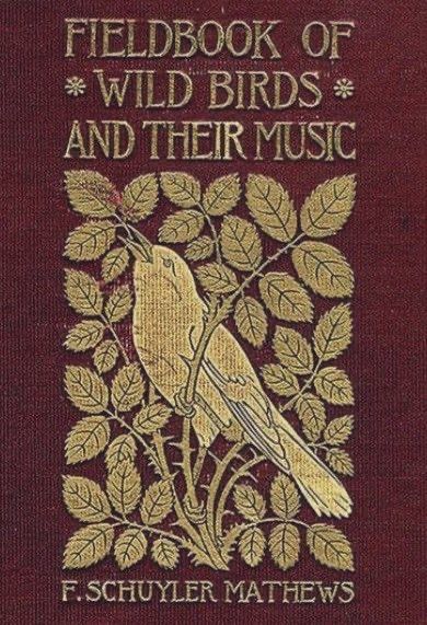 FIELDBOOK OF
* WILD BIRDS * AND THEIR MUSIC
F. SCHUYLER MATHEWS
Brown cover with gold lettering and decoration of a bird singing in brambled foliage