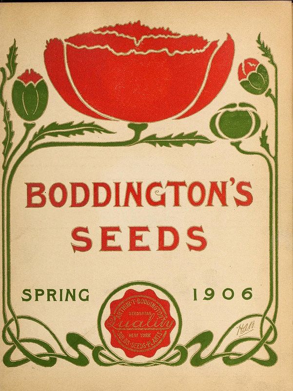 cover of the 
