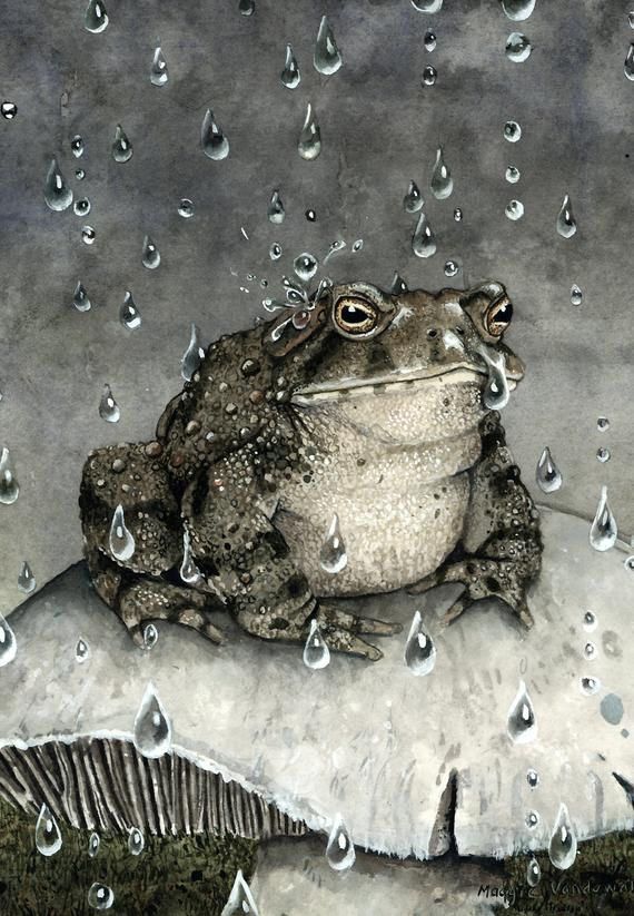 Frog perched on mushroom in the rain, painting.